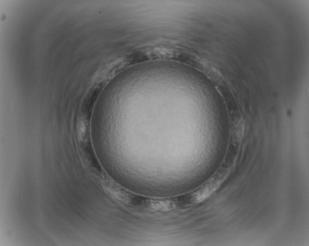 X0000062650709200512230856
