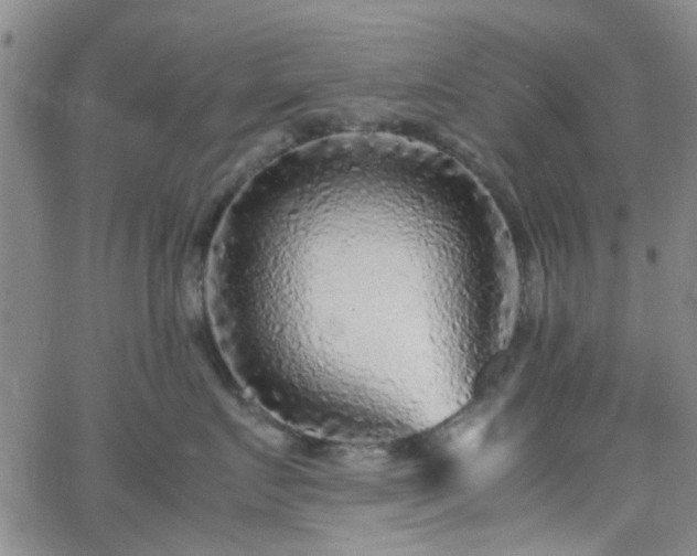 X0000062650719200512230856