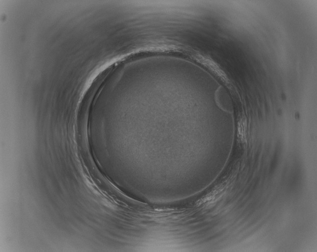 X0000062650724200512230855