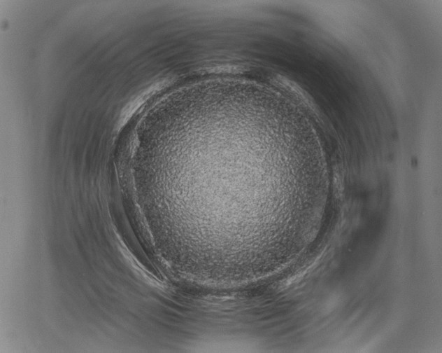 X0000062650725200512230855