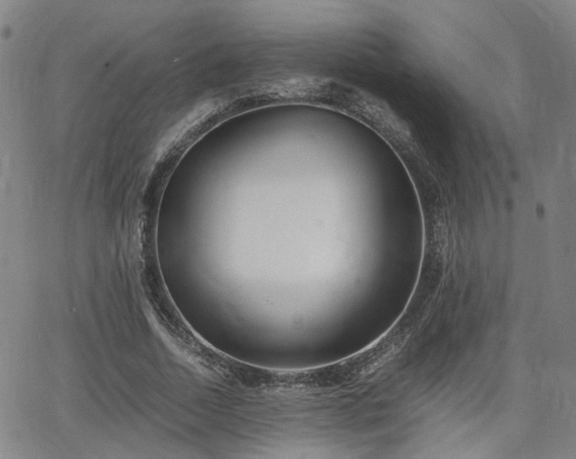 X0000062650730200512230855