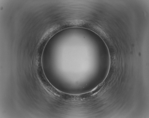 X0000062650736200512230855