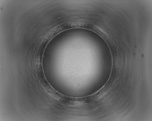 X0000062650737200512230855