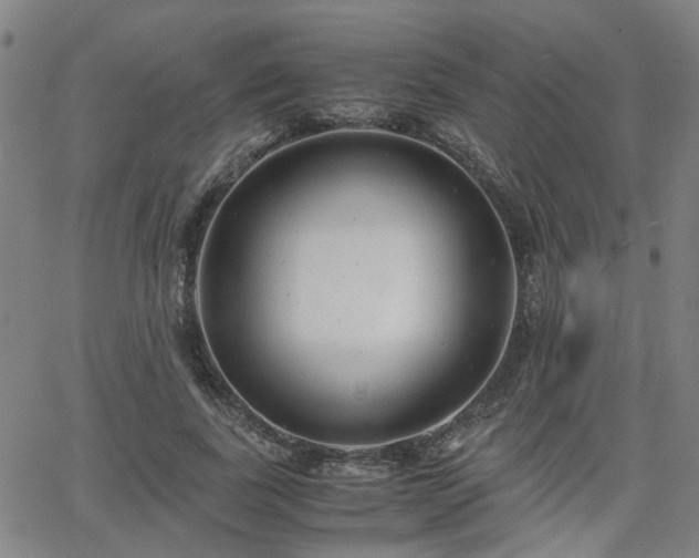 X0000062650739200512230855
