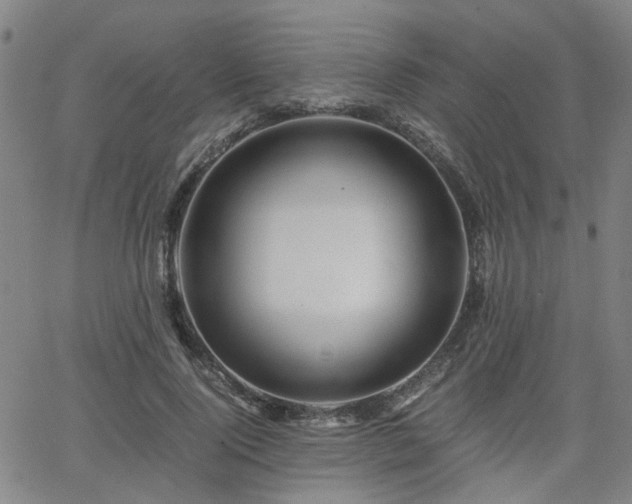 X0000062650740200512230855