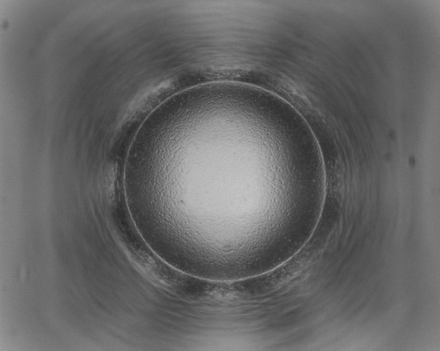 X0000062650742200512230855
