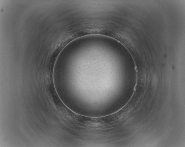 X0000062650743200512230855