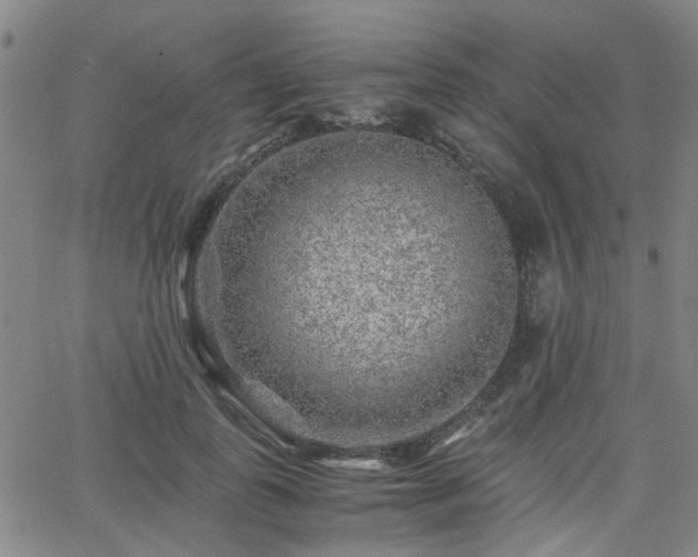 X0000062650747200512230855