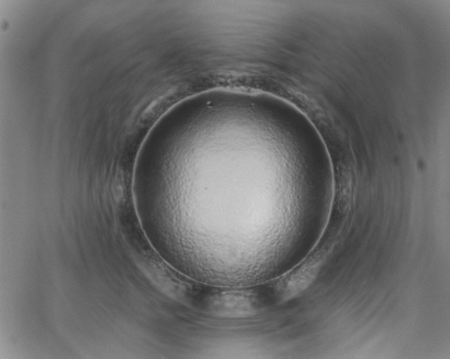 X0000062650758200512230855