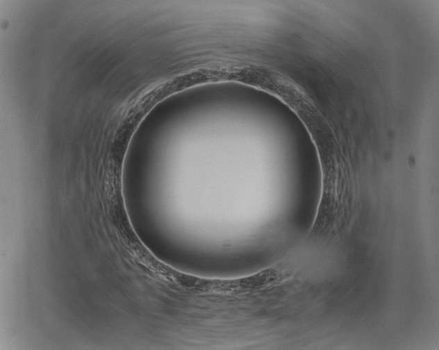 X0000062650773200512230855