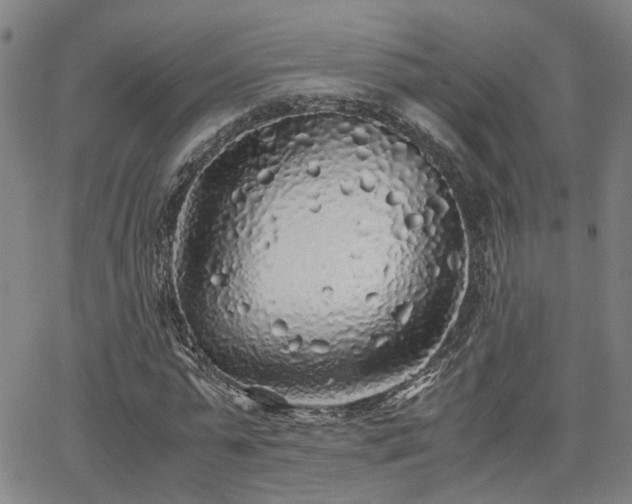 X0000062650775200512230855