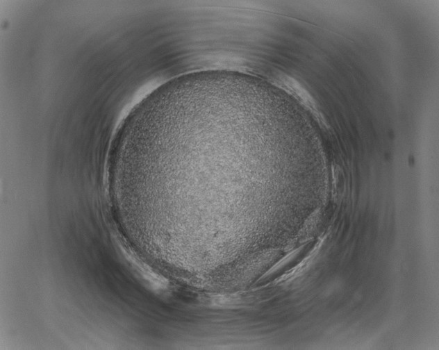 X0000062650780200512230855