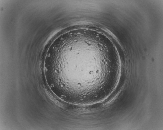 X0000062650783200512230855