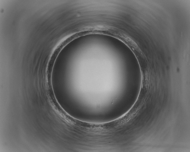 X0000062650784200512230855