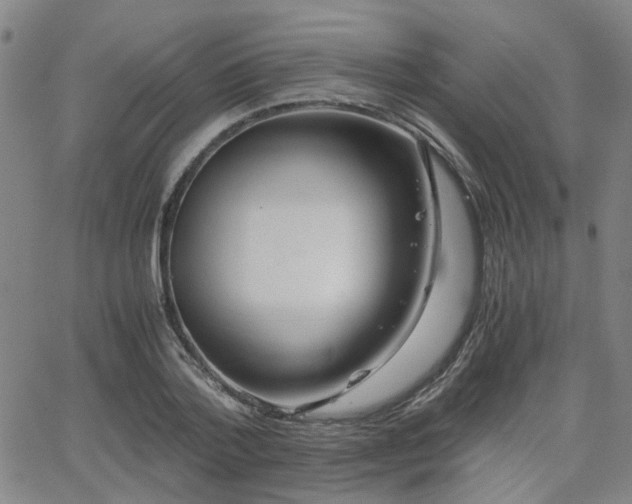 X0000062650788200512230855