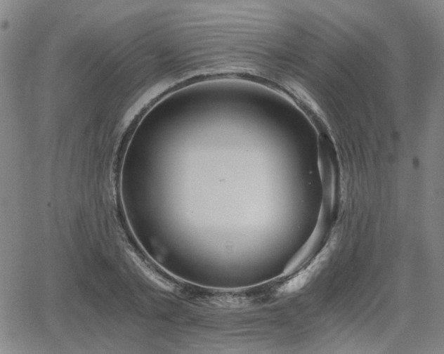 X0000062650789200512230855