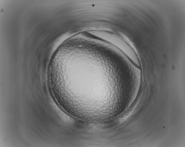 X0000062650803200512230854