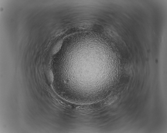 X0000062650817200512230853