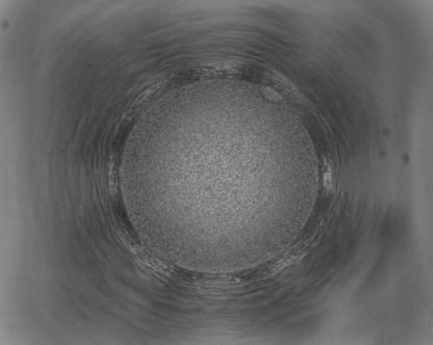 X0000062650819200512230853