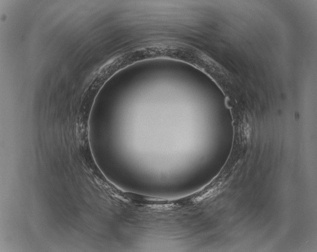 X0000062650822200512230853
