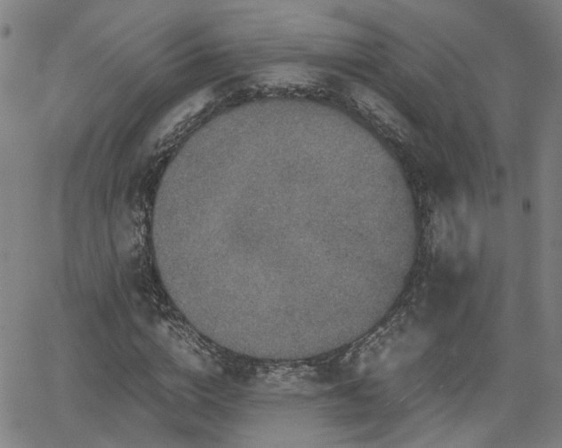 X0000062650824200512230853