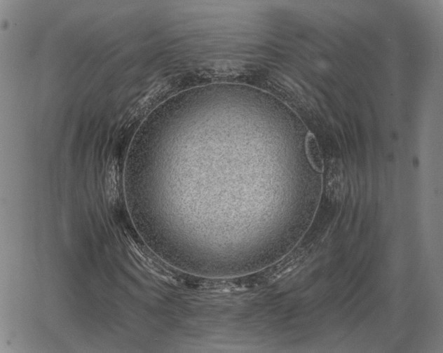 X0000062650866200512230853