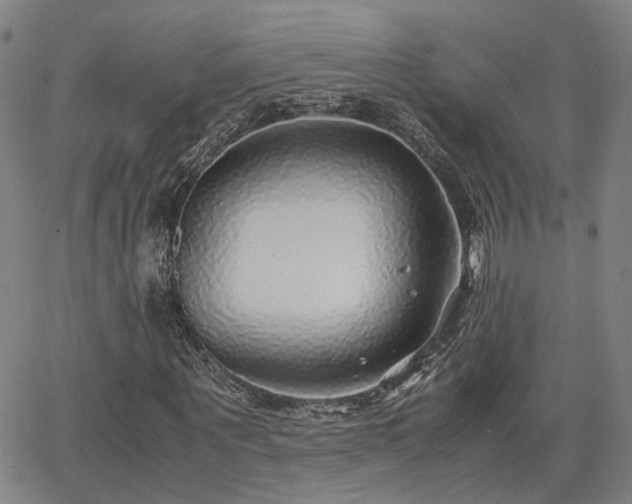 X0000062650867200512230853