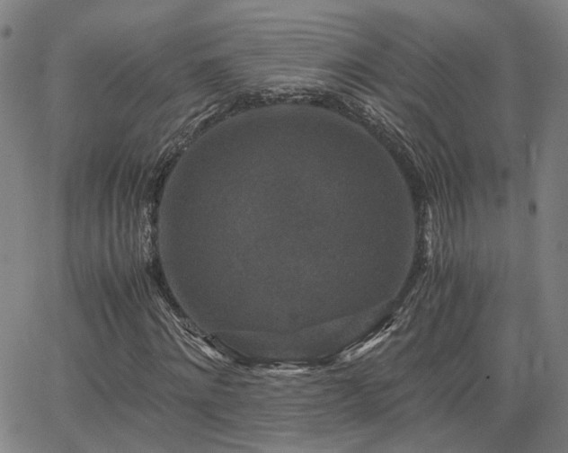 X0000062650868200512230853