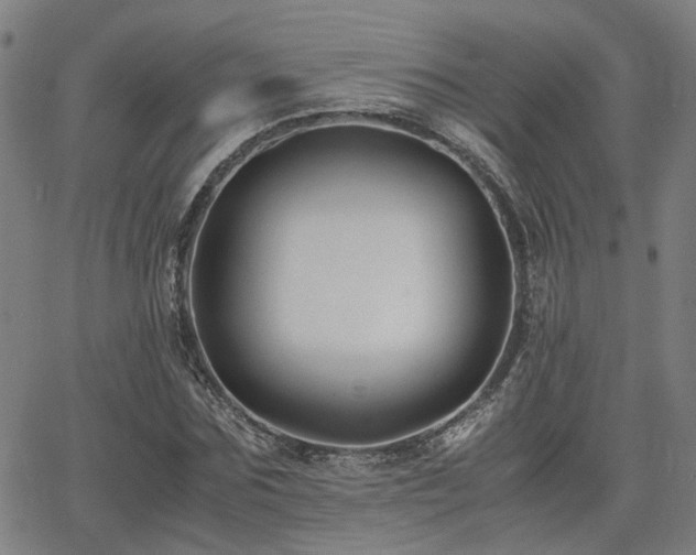 X0000062650875200512230853