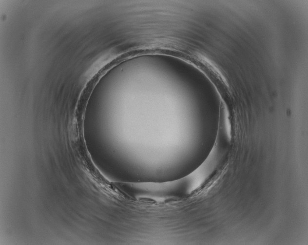 X0000062650876200512230853