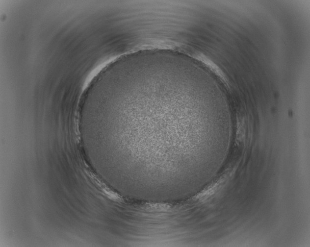 X0000062650878200512230853