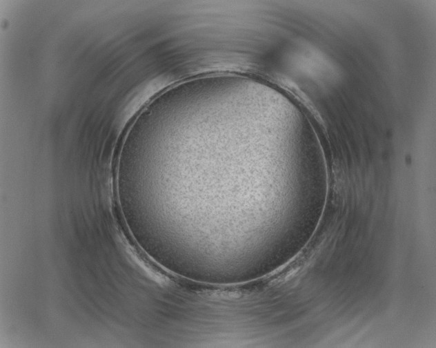 X0000062650890200512230853