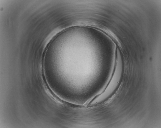 X0000062650896200512230853