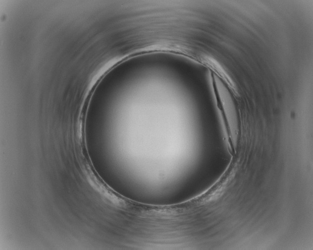 X0000062650900200512230853