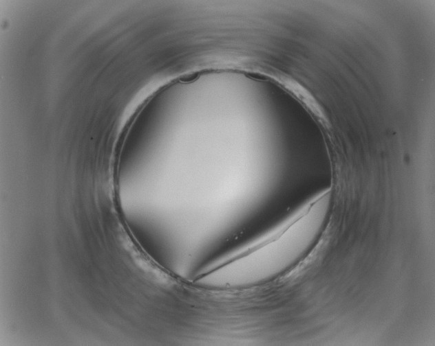 X0000062650904200512230853