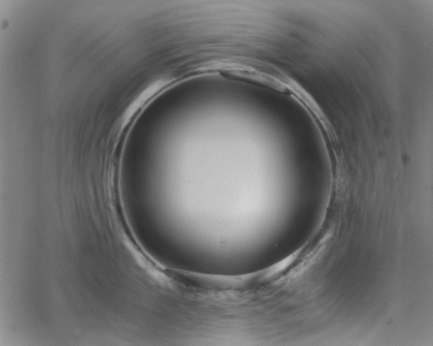 X0000062650909200512230852