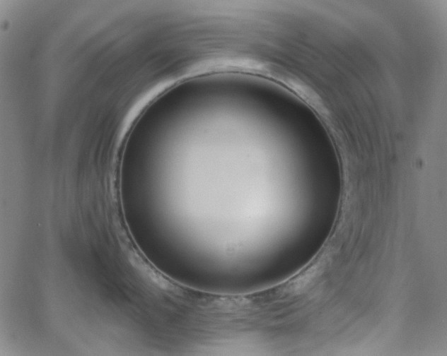 X0000062650912200512230852