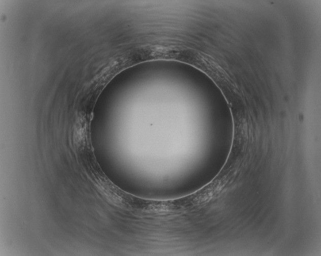 X0000062650914200512230852
