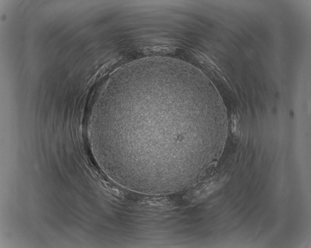 X0000062650915200512230852