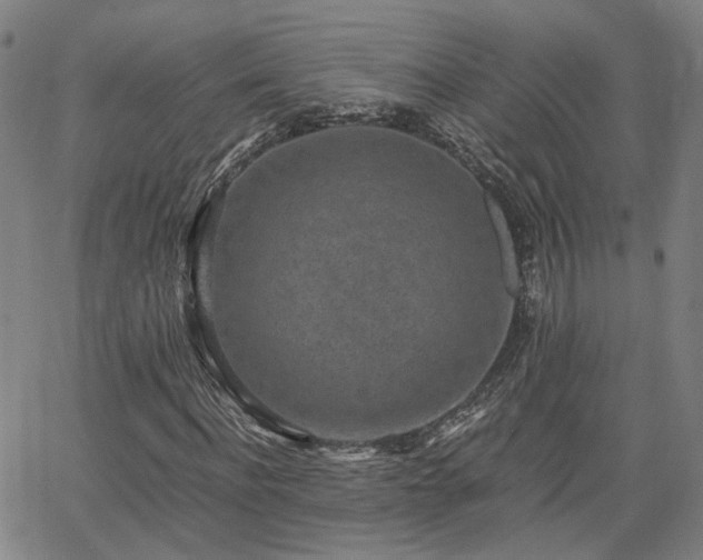 X0000062650916200512230852