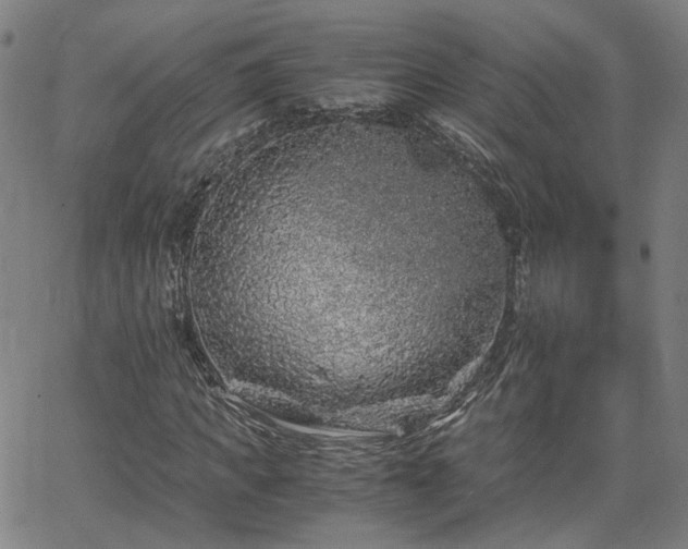 X0000062650917200512230852