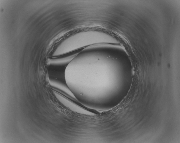 X0000062650920200512230852
