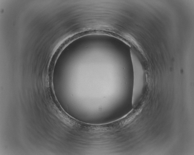 X0000062650924200512230852