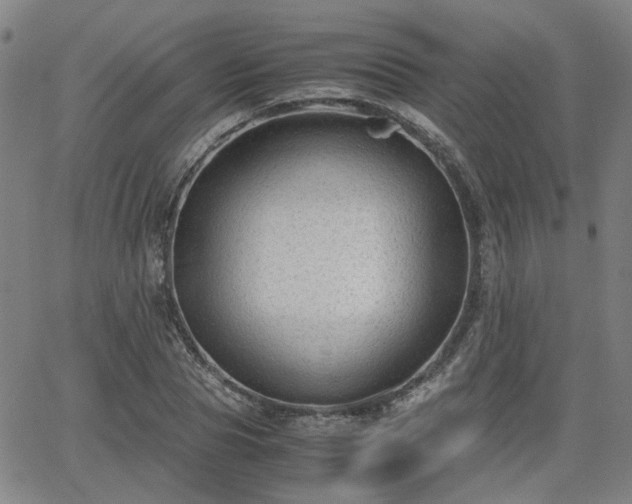 X0000062650929200512230852
