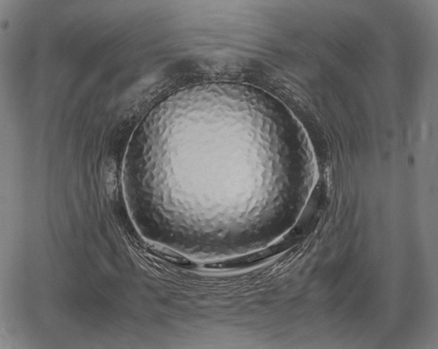 X0000062650963200512230852