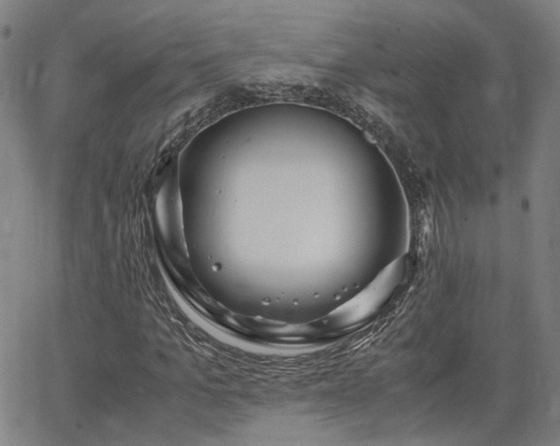 X0000062650965200512230852