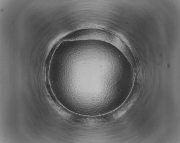 X0000062650987200512230851