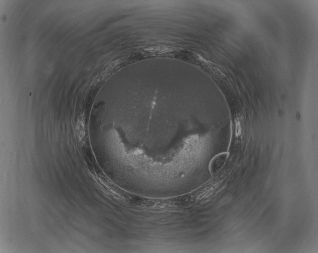 X0000062651011200512230850