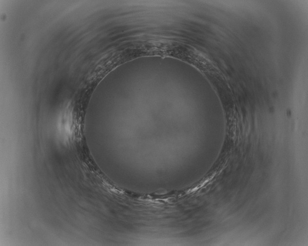 X0000062651013200512230850