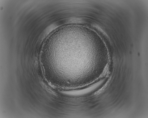 X0000062651025200512230850